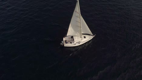 Top-Down-Aufnahme-Eines-Weißen-Segelboots-In-Schwarzem-Wasser