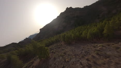 Cinematic-FPV-aerial-view-flying-close-through-Roque-Nublo-woodland-mountain-trees,-Gran-Canaria
