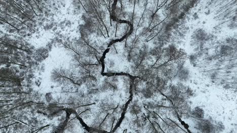 aerial-top-down-scenic-snow-winter-landscape-white-frozen-forest-with-small-river-passing-through-the-pine-tree-woods