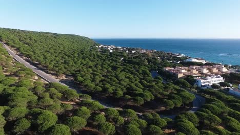 Natural-park-with-pine-trees-and-a-small-coastal-town-in-southern-Cadiz