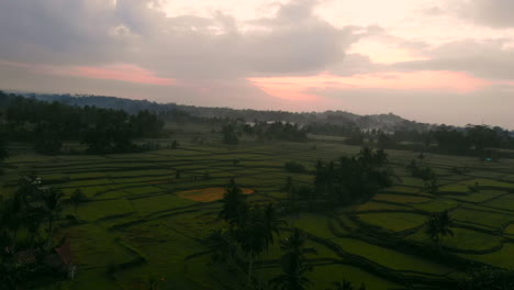 Drohnenaufnahme-Des-Sonnenaufgangs-über-Den-Reisfeldern-Indonesiens