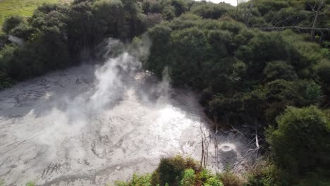 Geothermische-Heiße-Quelle-Neben-Der-Straße-In-Rotorua,-Neuseeland