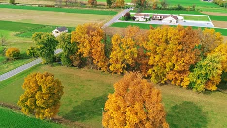 A-Drone-View-of-a-Row-of-Autumn-Trees,-with-Bright-Orange-and-Red-Leaves-Looking-Over-Farmlands-on-a-Bright-Sunny-Day