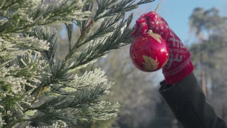 Rote-Weihnachtsblase-In-Warmen-Winterhandschuhen-An-Frostigem-Sonnentag-Pflücken