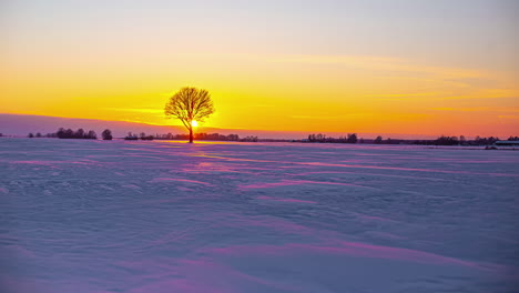 Wind-blows-snow-powder-across-the-frozen-fields-during-a-golden-sunset-behind-the-silhouette-of-a-lone-tree---wide-angle-winter-time-lapse