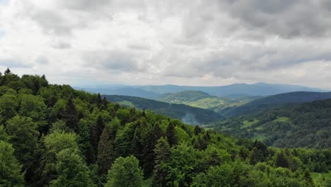 Idyllic-forest-in-Beskid-Sadecki-mountains,-Poland,-aerial-panorama-over-tree-tops