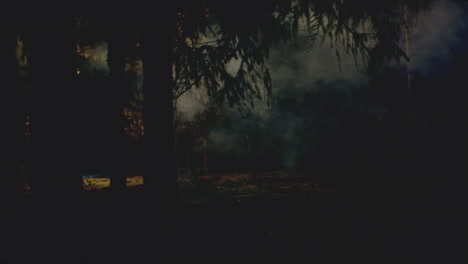 Weitwinkelaufnahme-Des-Waldes-Bei-Nacht,-Wenn-Nebel-Hereinrollt