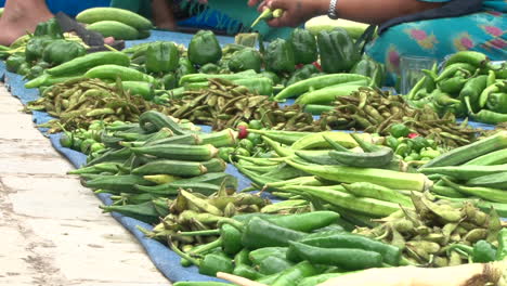 Woman-selling-a-variety-of-green-food-items-on-the-street-side---green-chillies,-green-peppers,-okra,-cucumber-and-more