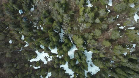 Copas-De-Los-árboles-En-El-Suelo-Nevado-En-El-Bosque-De-Montaña-En-Telemark,-Noruega-Durante-El-Día