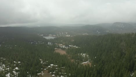 Drone-Volando-Sobre-Un-Denso-Bosque-De-Abetos-En-Telemark,-Noruega-En-Un-Día-Brumoso