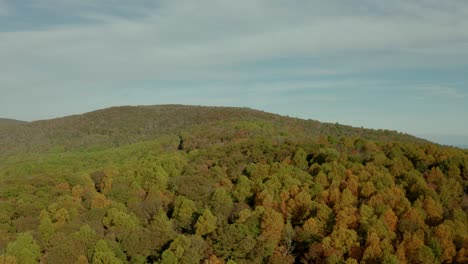 Autumnal-Trees-At-Blue-Ridge-Mountains-In-Shenandoah-National-Park,-Virginia,-US