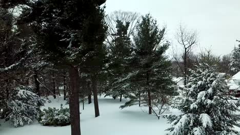 Snowfall-pushing-in-Drone-shot