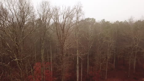 Foggy-morning-view-of-the-forest-treeline-in-Hampton,-GA