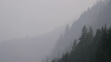 Medium-Shot-of-Very-Smoky-Mountain-Scenery-in-4K