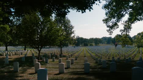 Arlington-Cemetery-grave-stones-grave-yard-trees-grass-sliding-shot
