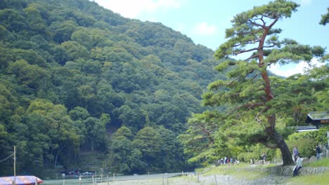 Wide-shot-of-the-mountain-and-trees-in-Kyoto,-Japan-during-the-day-soft-lighting-slow-motion-4K