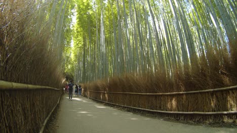 La-Luz-Del-Sol-Atravesando-Las-Hojas-En-El-Bosque-De-Bambú-Al-Mediodía-Con-Un-Mínimo-De-Turistas-En-El-Fondo-En-Kyoto,-Japón-Cámara-Lenta-4k