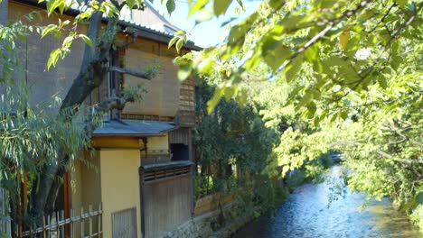 Hojas-Verdes-Sobre-Un-Río-Que-Fluye-Entre-Casas-Japonesas-Tradicionales-En-Kyoto,-Japón-Iluminación-Suave-Cámara-Lenta-4k