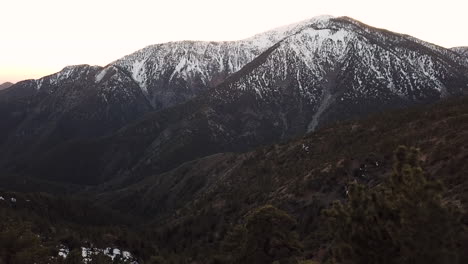 Flying-over-mountain-trees-with-a-snowcapped-mountain-in-the-background,-Wrightwood-California