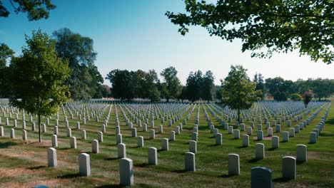 Arlington-Friedhof-Friedhof-Bäume-Historische-Gedenkstätte-Washington-DC-4k