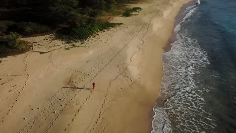 Hawaii---Running-at-the-beach-and-following-me-with-drone-7