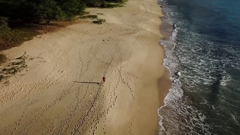 Hawaii---Running-at-the-beach-and-following-me-with-drone-4