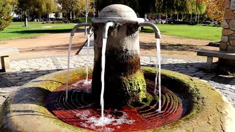 Natural-mineral-water-spring-in-a-park