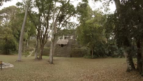 Maya-Ruinen-In-Tikal-In-Guatemala