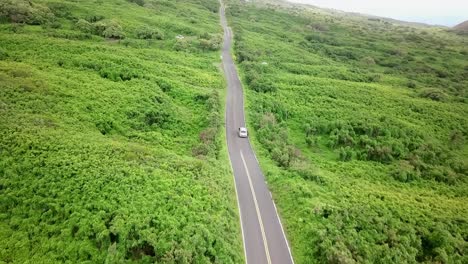 Hawaii---Maui-Roadtrip-Teil-3