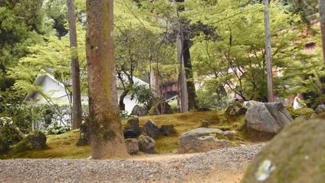 Diaaufnahme-Eines-Wunderschönen-Grünen-Gartens-In-Kyoto,-Japan-4k-Zeitlupe