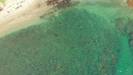 Epic-aerial-of-shallow-reef-at-the-shoreline-while-a-girl-swims-at-Arnos-Vale-Beach-in-Castara,-Tobago