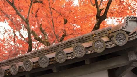 Hermosas-Paletas-Tradicionales-Japonesas-En-La-Azotea-Con-Hojas-Naranjas-De-Otoño-En-El-Fondo-En-Kyoto,-Japón-Iluminación-Suave