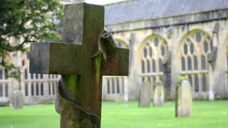 An-old,-moss-covered-cross-on-a-grave,-in-the-cemetary-within-the-grounds-of-Wells-Cathedral,-in-England's-smallest-city