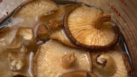Close-up,-directly-above-shot-of-mushroom-caps,-in-glass-measuring-cup