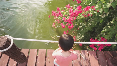 Slow-Motion-clip-of-a-two-year-old-Asian-boy-enjoying-outdoors-feeding-bread-to-fish-at-a-lake-from-a-little-wooden-bridge