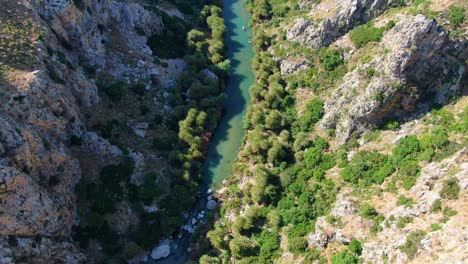 Aerial-of-a-beautiful-river-surrounded-by-palm-trees-flowing-through-a-gorge-in-Preveli,-Crete