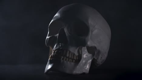 Cráneo-Humano-Sobre-Un-Fondo-Ahumado-Negro