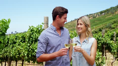 Happy-couple-toasting-glasses-of-wine-in-vineyard