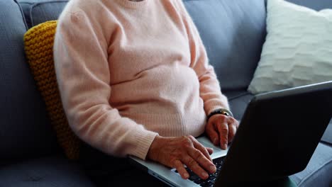 Ältere-Frau-Benutzt-Laptop-Im-Wohnzimmer