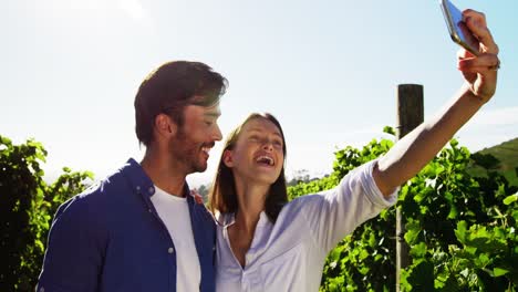 Couple-taking-selfie-on-mobile-phone-at-vineyard