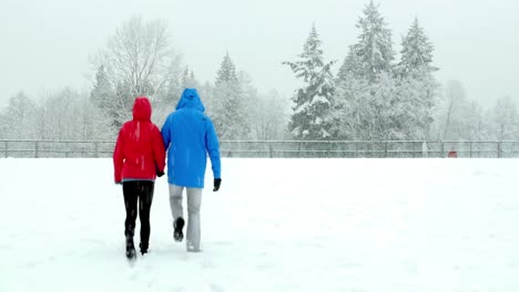 Couple-walking-hand-in-hand-in-snowy-landscape