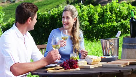 Happy-couple-having-wine-in-vineyard