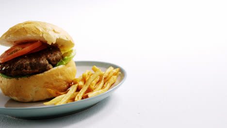 Hamburger-and-french-fries-served-in-plate