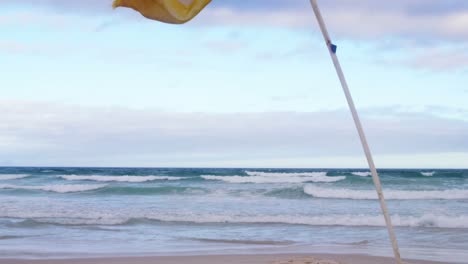Flag-waving-at-beach