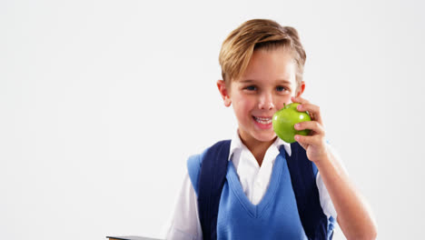 Smiling-schoolboy-holding-books-and-apple