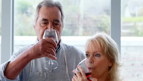 Portrait-of-couple-having-a-glass-of-wine