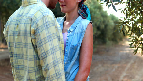 Couple-embracing-face-to-face-in-olive-farm