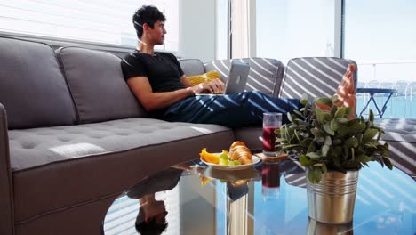 Man-using-laptop-in-living-room-4k