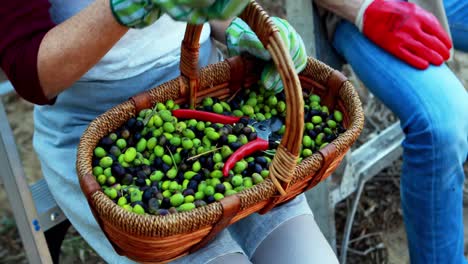 Couple-examining-olives-in-wicker-basket