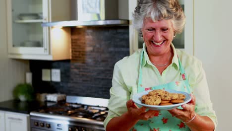Portrait-of-senior-woman-holding-cookies-in-plate-4k